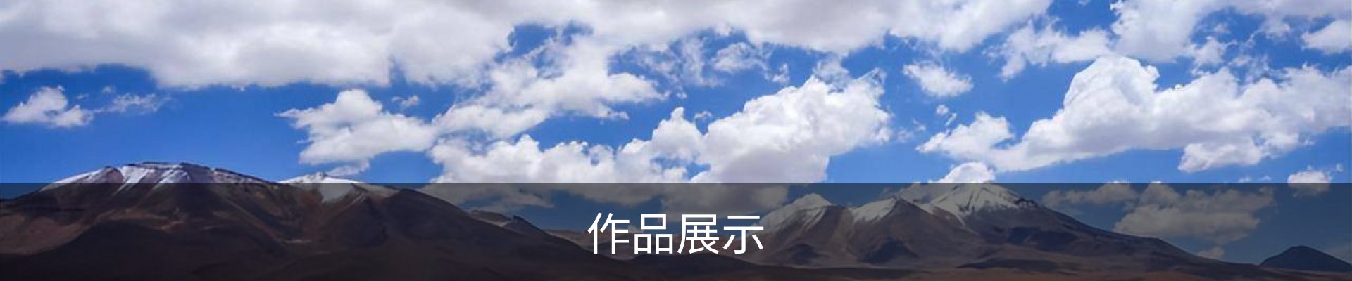作品展示