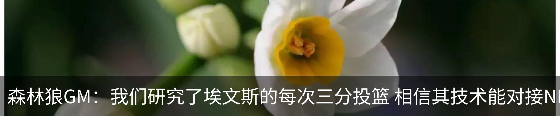 最新动态